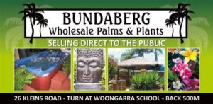 Bundaberg Wholesale Palms And Plants